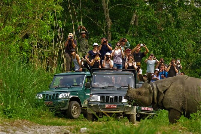 Chitwan National Park Wildlife Safari Tour