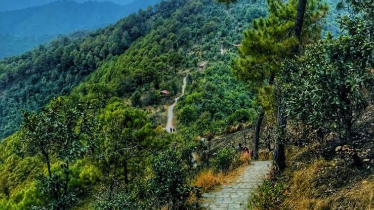 Champadevi Hill & Ridge Day Hike